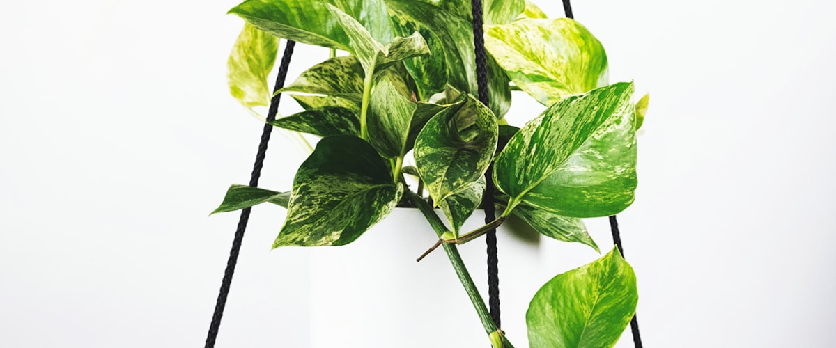 世界杯决赛赛场全景照片，观众席座无虚席